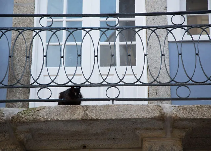 Alibi By Yoursporto 3* 포르투