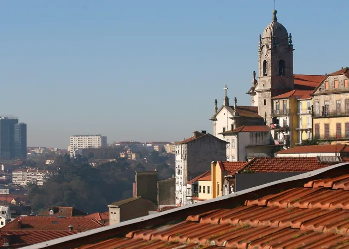 Alibi By Yoursporto Oporto