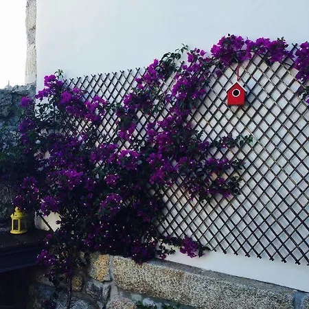 Maison d'hôtes Alibi By Yoursporto 3*