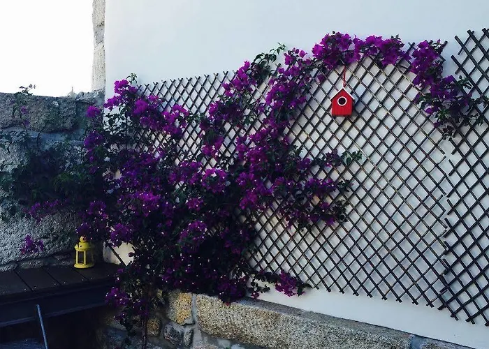 Gasthof Alibi By Yoursporto 3*